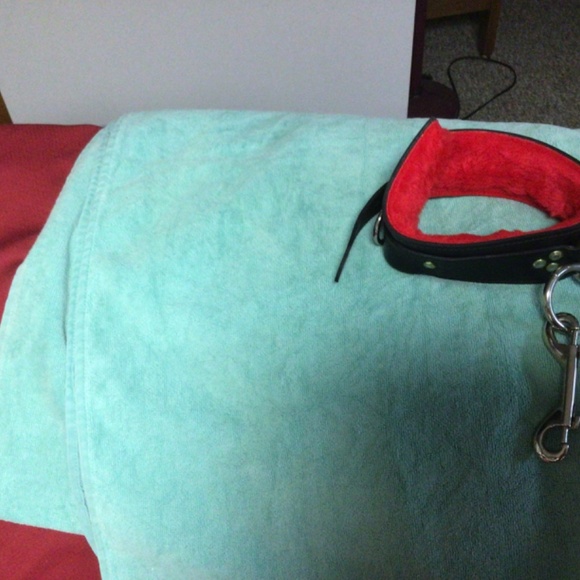 Neck collar restraint& riding crop - Picture 3 of 4
